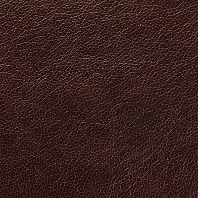 Cambridge Bark — Cambridge swatch