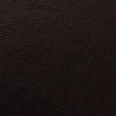 Cambridge Chocolate — Cambridge swatch