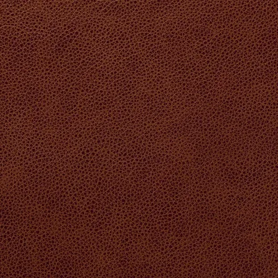 Cambridge Derby — Cambridge swatch