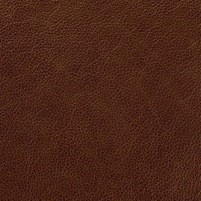 Cambridge Lark swatch