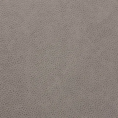 Cambridge London Fog swatch