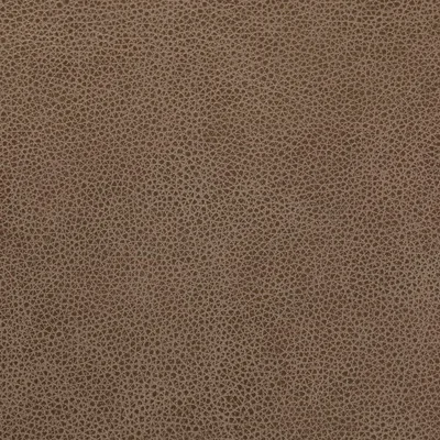 Cambridge Mushroom swatch