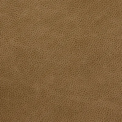 Cambridge Parchment swatch