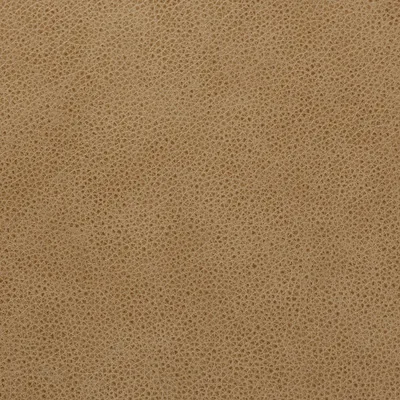 Cambridge Sand swatch
