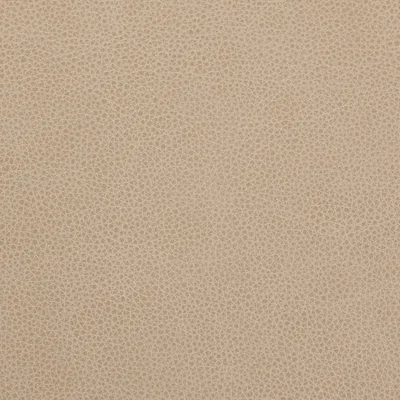 Cambridge Stone — Cambridge swatch