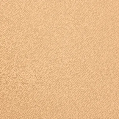 Contempo Biscuit swatch