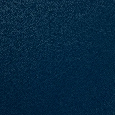 Contempo Majolica Blue — Contempo swatch