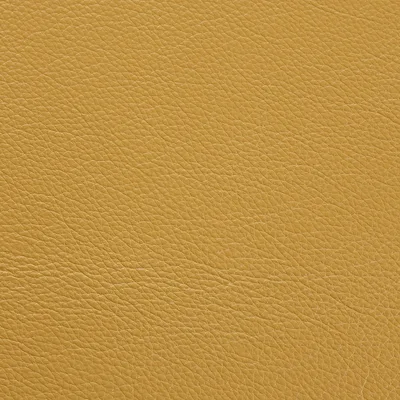 Hemingway Mustard Seed — Hemingway swatch