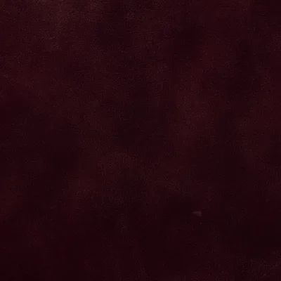 Legacy Bike Tan — Legacy swatch