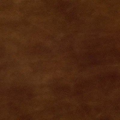 Legacy Cappuccino swatch