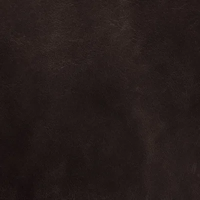 Legacy Destroyed Black swatch