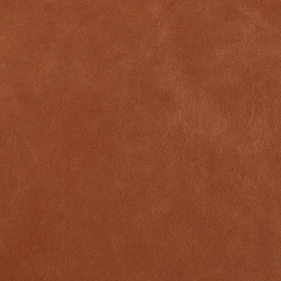 Legacy Fire Coral swatch