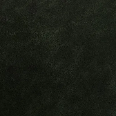 Legacy Hunter — Legacy swatch