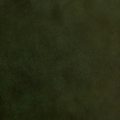 Newcastle Green swatch