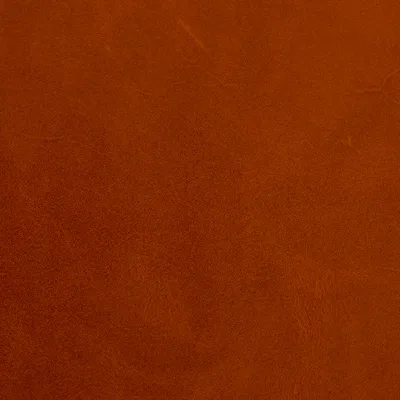 Newcastle Tan — Newcastle swatch