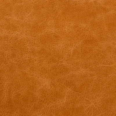 Old English Buckskin — Old English swatch