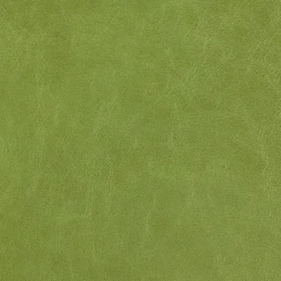 Old English Cardamom Seed — Old English swatch