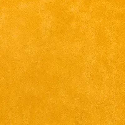 Old English Daffodil — Old English swatch