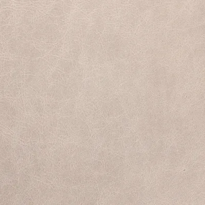 Old English Fossil Grey — Old English swatch