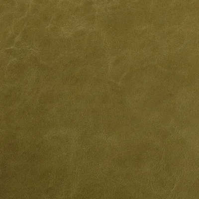 Old English Olive — Old English swatch