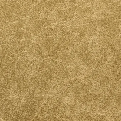 Old English Parchment swatch