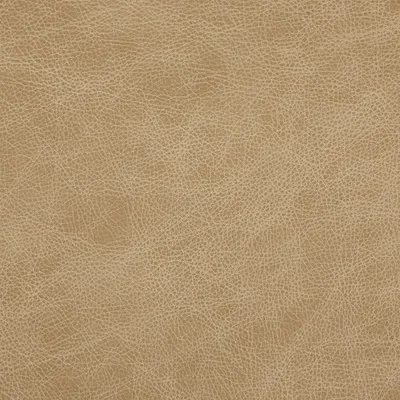 Saloon Biscuit — Saloon swatch