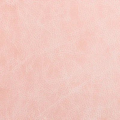 Saloon Candy — Saloon swatch