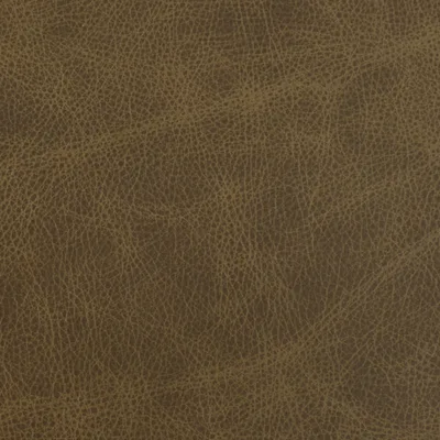 Saloon Chaps — Saloon swatch