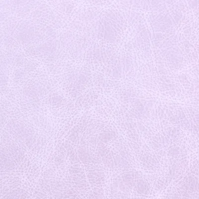 Saloon Coral — Saloon swatch