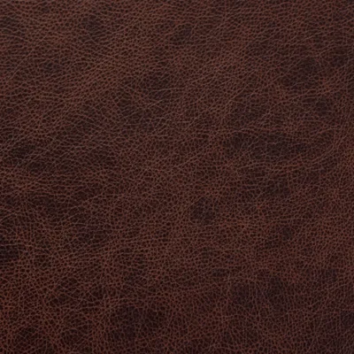 Saloon Dark Brown — Saloon swatch