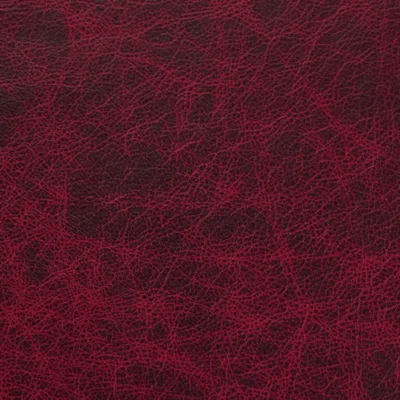 Saloon Garnet swatch