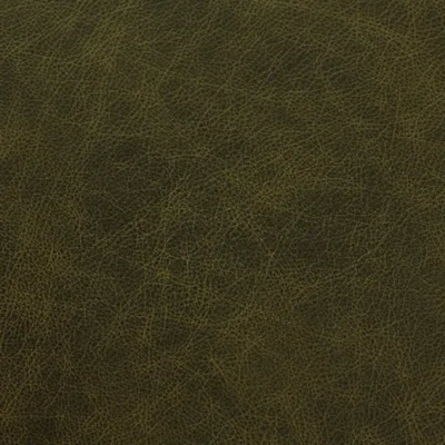 Saloon Green swatch