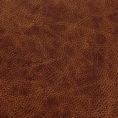 Saloon Whiskey swatch