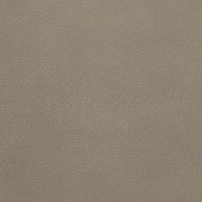 Selvaggio Ash — Selvaggio swatch