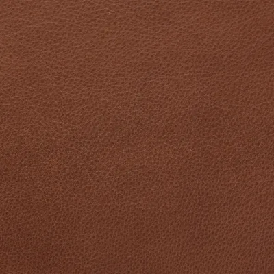 Selvaggio Beaver — Selvaggio swatch