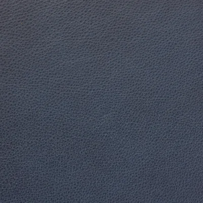 Selvaggio Blue Marlin swatch