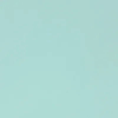 Selvaggio Duck Down swatch