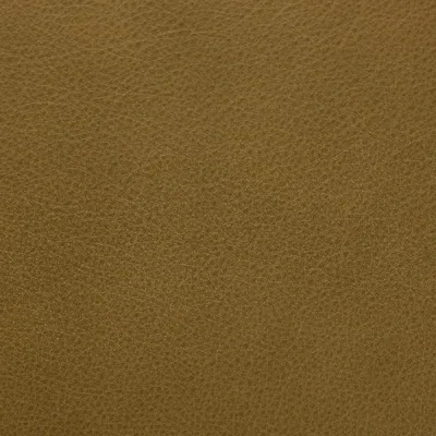 Selvaggio Fern swatch