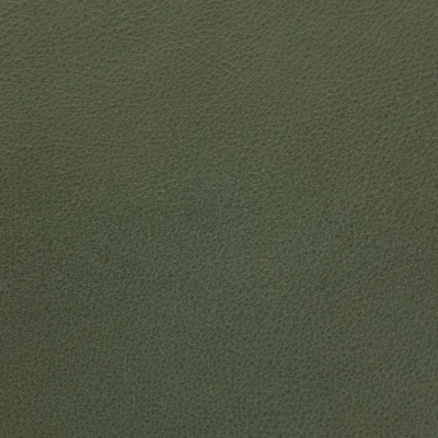 Selvaggio Forest Green swatch