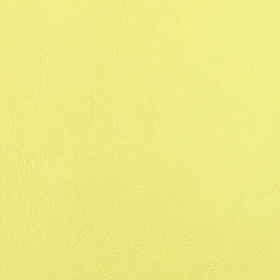 Selvaggio French Vanilla swatch