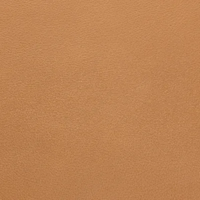 Selvaggio Parchment swatch